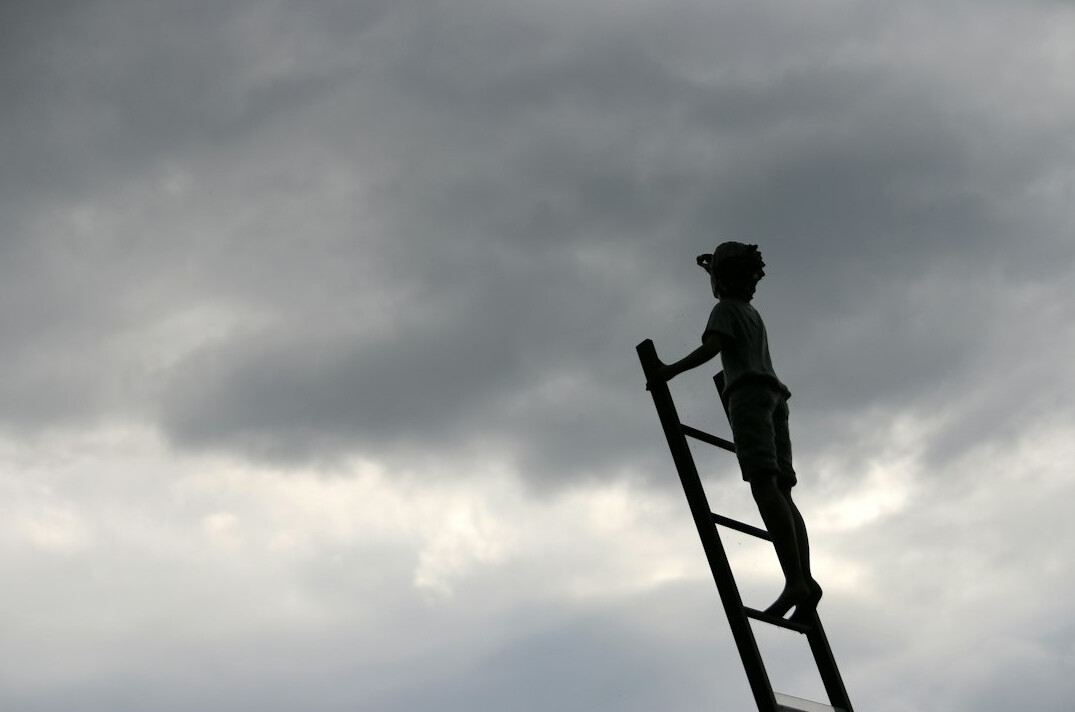 person climbing career ladder